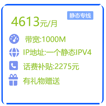 1000M静态IP商务专线