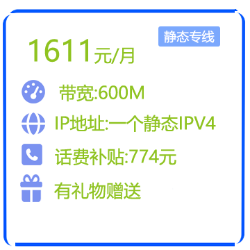 600M静态IP商务专线
