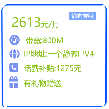 800M静态IP商务专线