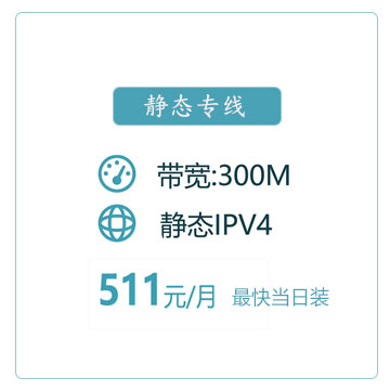 300M静态IP商务专线
