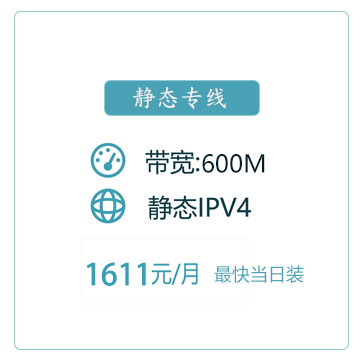 600M静态IP商务专线